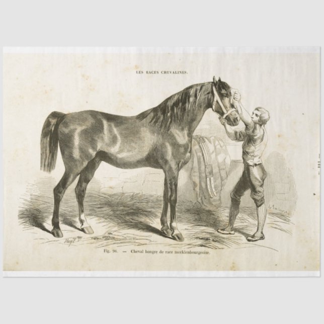 Papel De Seda Horse Ephemera Decoupage Vintage (Frente )