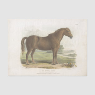 Papel De Seda Horse Ephemera Decoupage Vintage Suffolk