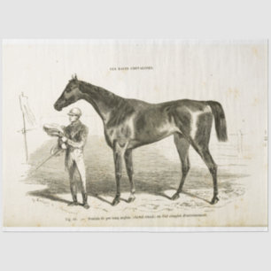Papel De Seda Horse Ephemera Decoupage Vintage Treinador Francês