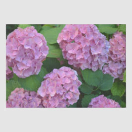 Papel De Seda Hortensia hydrangea bush rosa