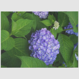 Papel De Seda Hortênsia Lavanda