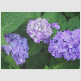Papel De Seda Hortênsia Lavanda