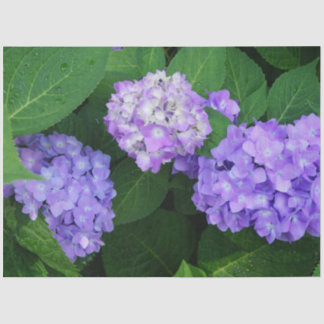 Papel De Seda Hortênsia Lavanda