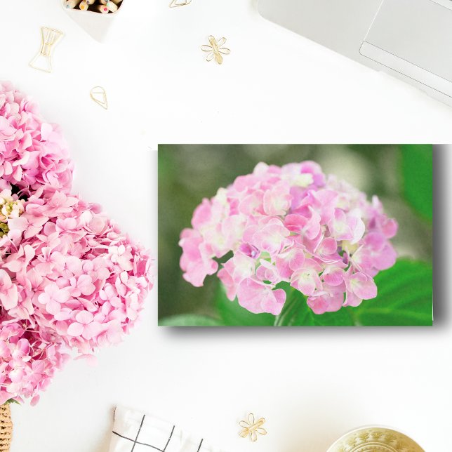 Papel De Seda Hortênsia Rosa no Verão (Criador carregado)