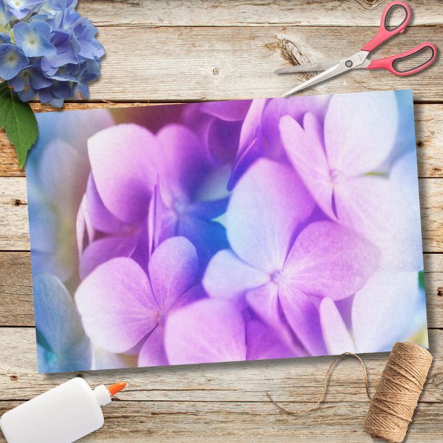 Papel De Seda Hortênsia Roxa Colorida (Criador carregado)