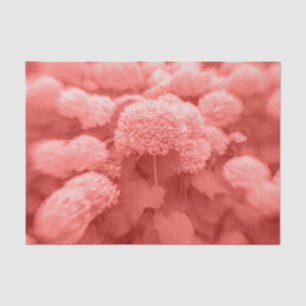 Papel De Seda Hortênsias Coral Branco Floral Elegante Vintage