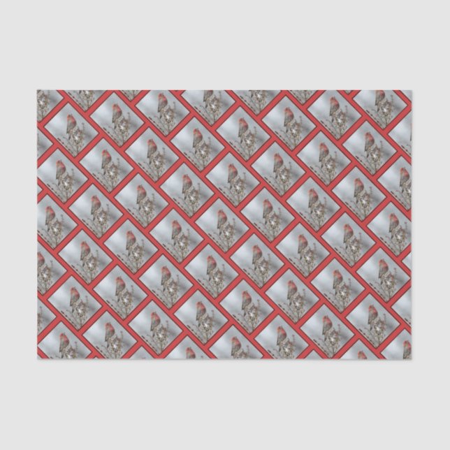 Papel De Seda House Finch in Snow - Foto original (Frente )