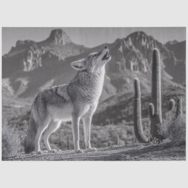 Papel De Seda Howling Coyote na paisagem do deserto (Frente )