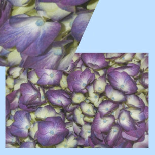 Papel De Seda Hydrangea Botânica Roxo Floral Fotográfica