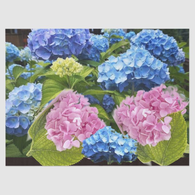 Papel De Seda Hydrangea Floral Rosa Azul Arte de Decoupagem (Frente )
