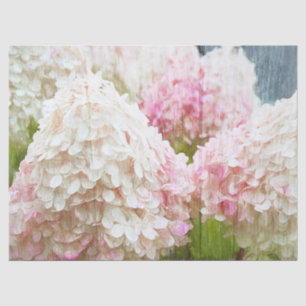 Papel De Seda Hydrangea Vintage Floral Cor-de-rosa Cor-de-rosa b