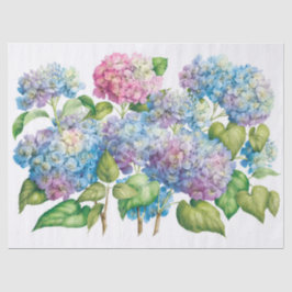 Papel De Seda Hydrangeas in Bloom