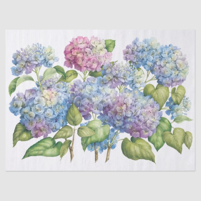 Papel De Seda Hydrangeas in Bloom (Frente )