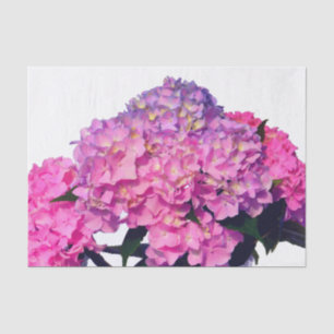 Papel De Seda Hydrangeas Rosa e Azul