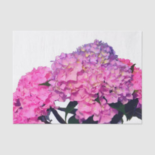 Papel De Seda Hydrangeas Rosa e Azul