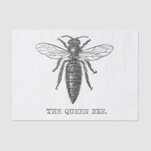Papel De Seda Ilustração Anterior do Inseto de Abelhas da Rainha