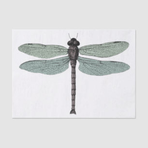 Papel De Seda Ilustração Antica De Dragonfly Vintage Typográf