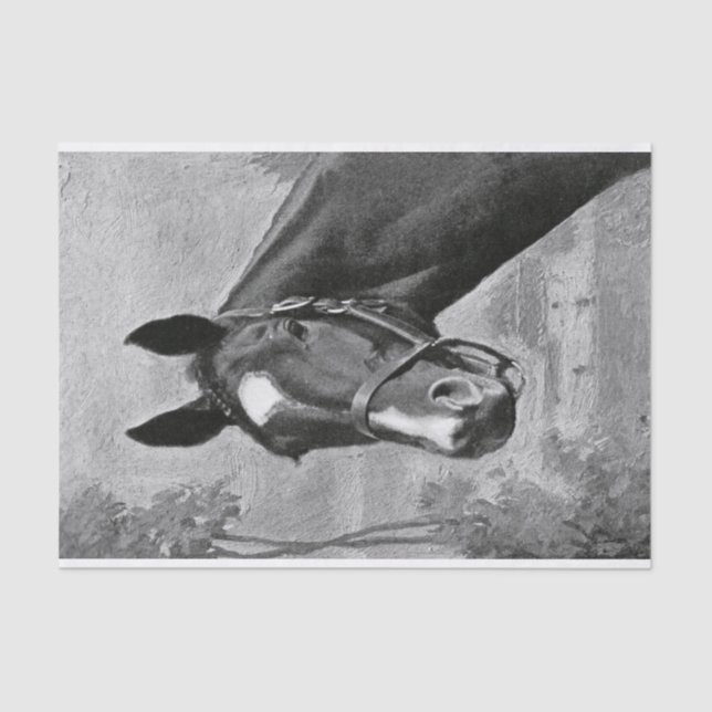 Papel De Seda Ilustração antiga preto e branco do cavalo do (Frente )