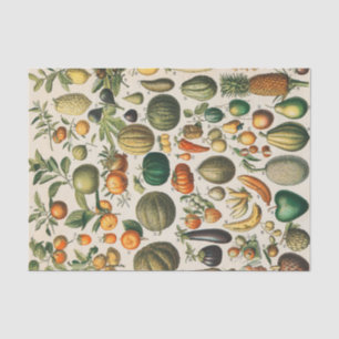 Papel De Seda Ilustração Científica Botânica Vegetal fruta