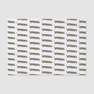 Papel De Seda Ilustração da cartoon da lagarta monarca