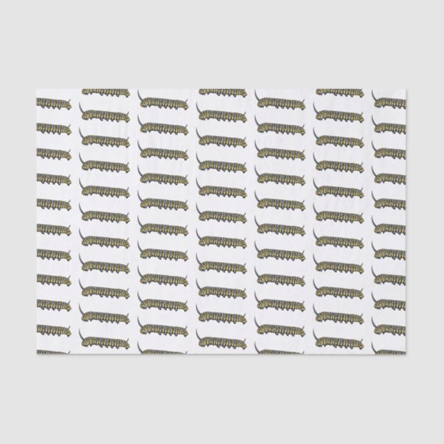 Papel De Seda Ilustração da cartoon da lagarta monarca (Frente )