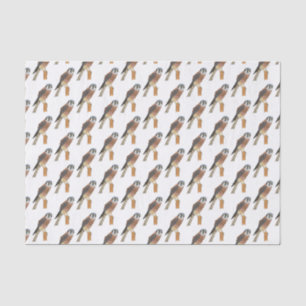 Papel De Seda Ilustração de ave do Kestrel Americano