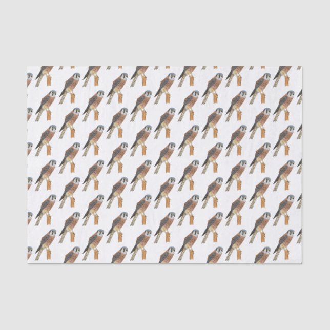 Papel De Seda Ilustração de ave do Kestrel Americano (Frente )