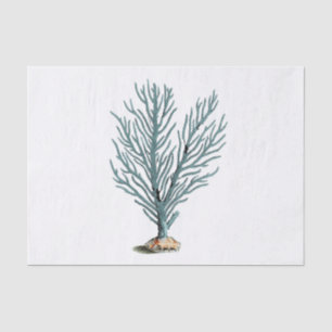 Papel De Seda Ilustração de Coral do Mar Antique