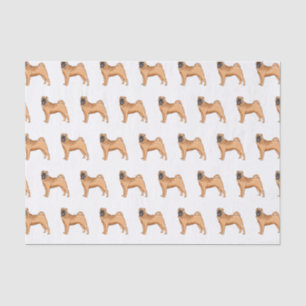 Papel De Seda Ilustração de desenho animado de cão Shar-Pei chin