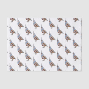 Papel De Seda Ilustração de desenho animado de codorniz de monta