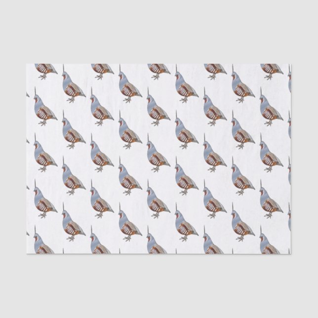 Papel De Seda Ilustração de desenho animado de codorniz de monta (Frente )