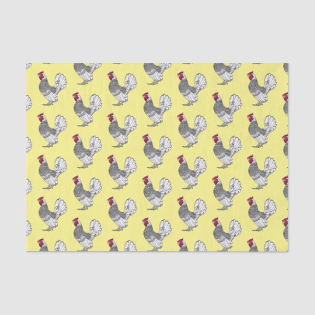Papel De Seda Ilustração de desenho animado de frango Sebright (Frente )
