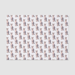 Papel De Seda Ilustração de desenho animado de gato esphynx