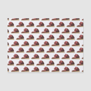 Papel De Seda Ilustração de desenho animado de Ham