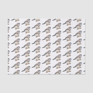 Papel De Seda Ilustração de desenho animado de pássaros de barba