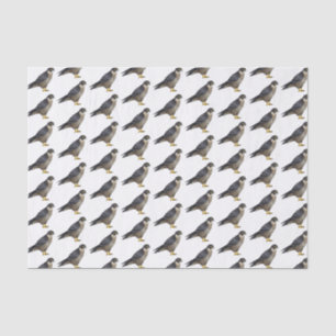 Papel De Seda Ilustração de desenho animado de pássaros falcões 