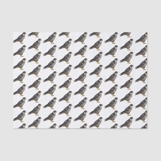 Papel De Seda Ilustração de desenho animado de pássaros falcões  (Frente )