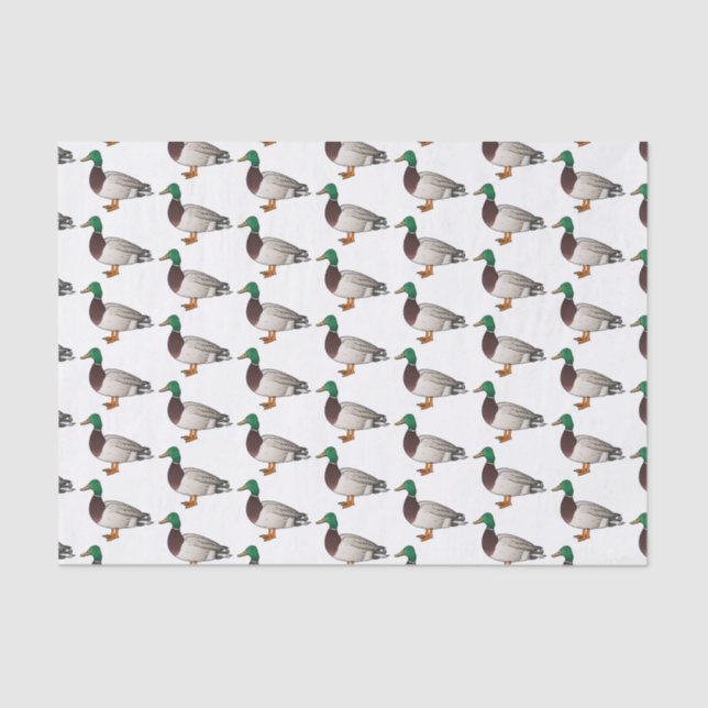 Papel De Seda Ilustração de desenho animado de pato-reais (Frente )