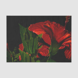 Papel De Seda Ilustração de Foto de Flor de Hibiscus de Alto C