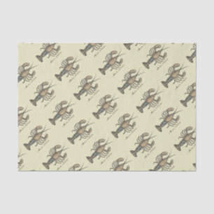 Papel De Seda Ilustração de Lagosta Madeira Antica