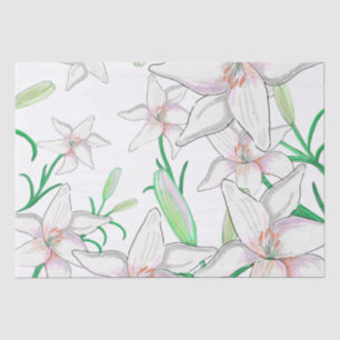 Papel De Seda Ilustração de Lily Branca