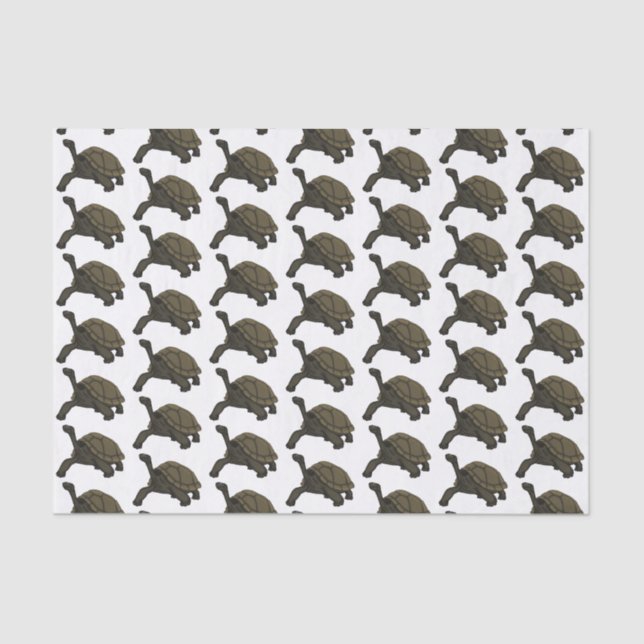 Papel De Seda Ilustração de tartaruga terrestre das Galápagos (Frente )