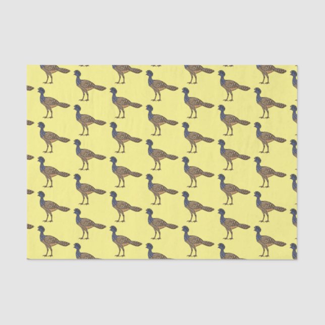 Papel De Seda ilustração do desenho animado de aves de cocurasso (Frente )