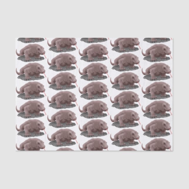 Papel De Seda Ilustração do dragão Komodo (Frente )