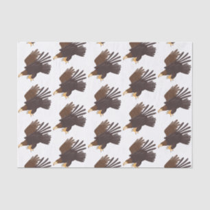 Papel De Seda ilustração engraçada de desenho animado com ág