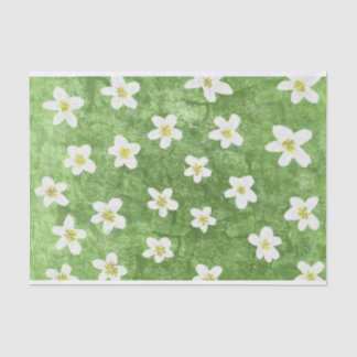 Papel De Seda Ilustração Moisés Verde e Daisy