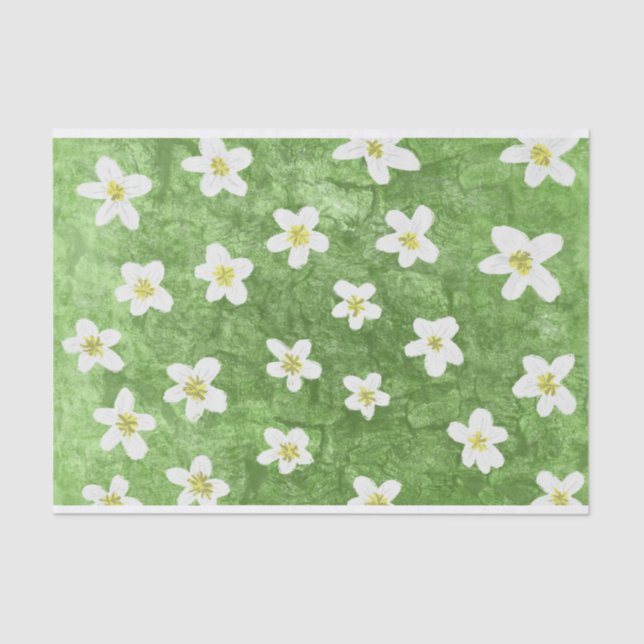 Papel De Seda Ilustração Moisés Verde e Daisy (Frente )