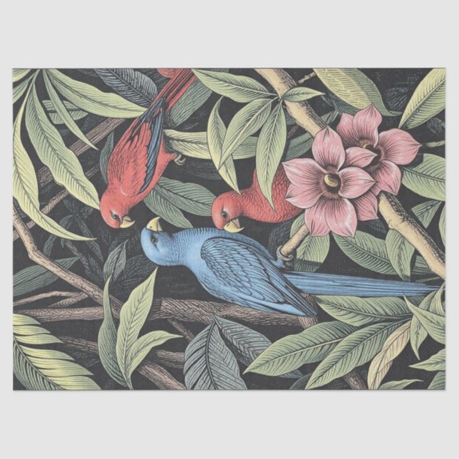 Papel De Seda Ilustração Negrito de Aves Tropicais (Frente )