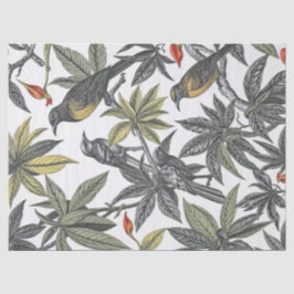 Papel De Seda Ilustração Ousada de Aves Tropicais