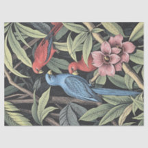 Ilustração Ousada de Aves Tropicais